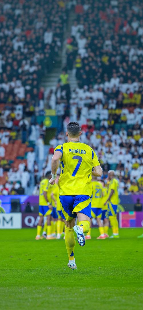 天空体育：伊萨克已经返回纽卡斯尔